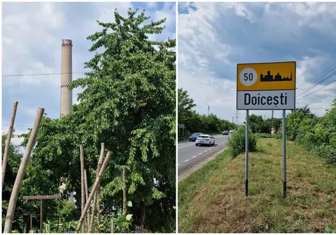REPORTAJ. Ce cred oamenii din Doiceşti despre faptul că vor avea centrală nucleară peste gard. De la „suntem cobaiul lumii” până la „o fi bine pentru tineret”