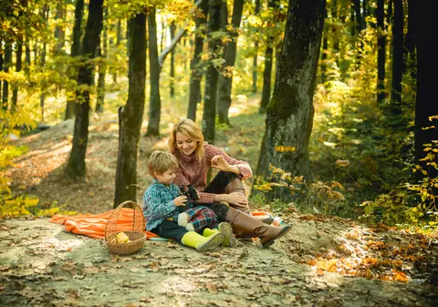 Păduri pe lângă București, ideale pentru ieșit la picnic