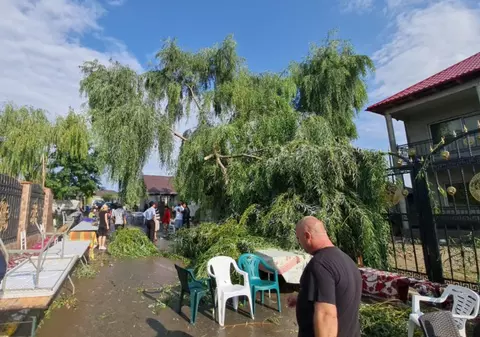 Momente de groază la o pomană din județul Constanța: un copac rupt de vijelie a căzut peste o masă. Nimeni nu a fost rănit