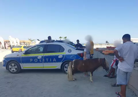 Doi ponei „apatici și deshidratați”, plimbați pe plajă ca să-i pozeze turiștii, în Mamaia, au fost salvați de polițiști