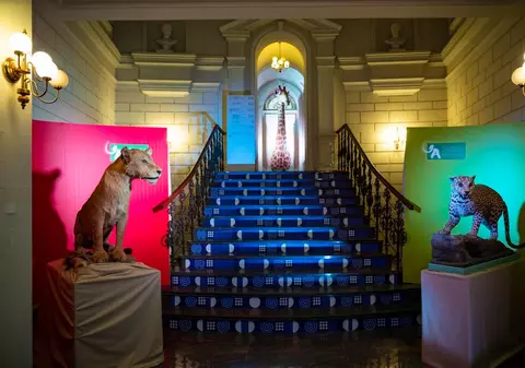 Art Safari și Muzeul Antipa prelungesc expozițiile temporare simultane