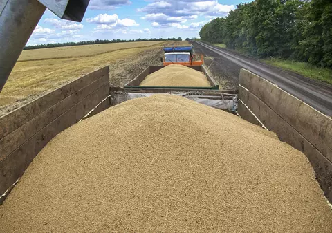 Ucraina a trimis note de protest către UE privind restricțiile care vizează importurile de cereale