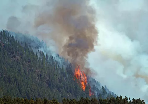 Incendiile forestiere continuă să ardă în Franța și Spania. 58 de focare semnalate și în Grecia, în ultimele 24 de ore