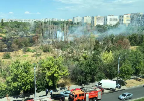 VIDEO | Incendiul de vegetație uscată din parcul IOR din București a fost stins după trei ore. Ce suprafață a fost afectată
