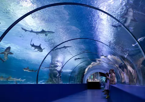 Acvarii din Europa - cele mai mari acvarii publice