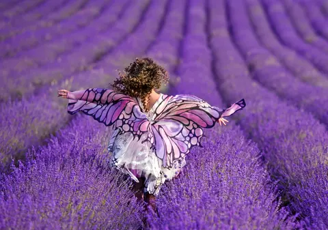 Unde găsești câmpuri de lavandă în România