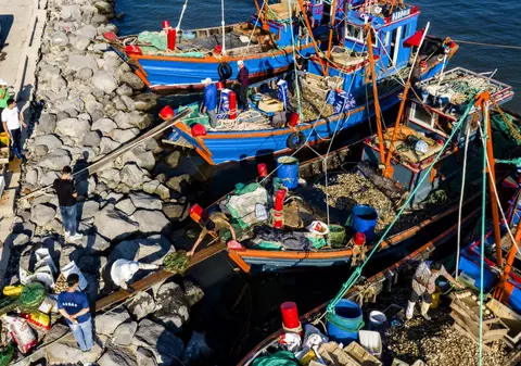 China testează pentru COVID peștii și fructele de mare vii, de teama unui nou focar masiv în Xiamen