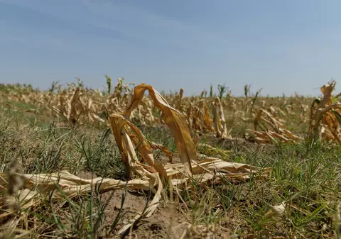 „Căldură mare, monșer!”. Ce pași a făcut România, în aproape două decenii, pentru a se adapta la schimbările climatice