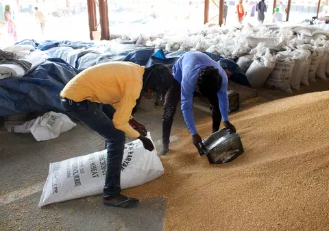 Regii cerealelor au profituri imense, iar activiștii cer suprataxarea lor. „Au pus stăpânire pe lanțurile alimentare”