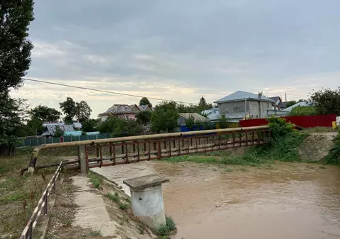 Copaci doborâți de vântul puternic și pericol de inundații în județul Galați