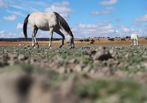 Portugalia recomandă creșterea prețului apei și interzice udarea străzilor în scopul curățeniei pentru a face față secetei