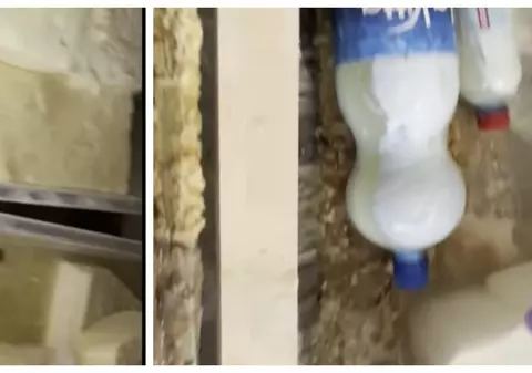 Comercianții din Lugoj, verificați de ANPC. Brânză cu gândaci vândută oamenilor și bijuterii „umflate” la greutate