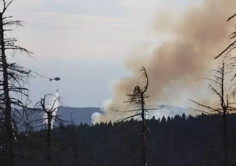 Incendiu de pădure în nordul Germaniei. Zeci de hectare sunt afectate, iar focul se extinde
