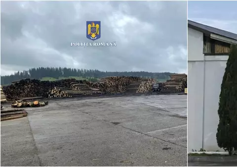 Descinderi de amploare în mai multe județe din țară la hoții de lemne și la ocoale silvice. Cum funcționa rețeaua din Suceava