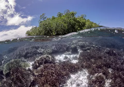 Locul nedescoperit de turiști, descris drept „ultimul paradis din lume”