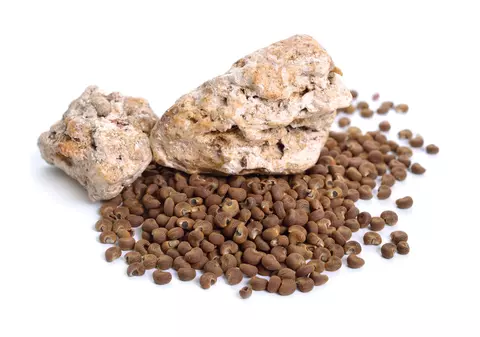 Ce este ambergris, voma de balenă. Ingredientul secret din parfumul tău