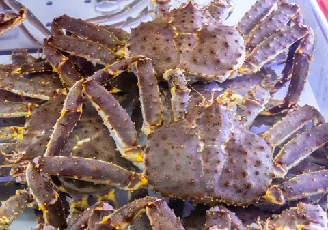 Autoritățile investighează dispariția unui miliard de crabi din apele statului Alaska. Populația de crustacee a scăzut cu 90% în doi ani