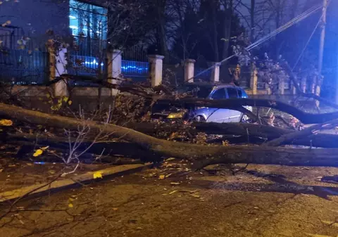 Un bărbat a fost prins sub un copac care a căzut în apropierea sediului Jandarmeriei Române