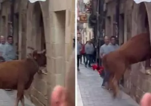 Un taur a sărit pe geamul unei brutării, în timpul unui festival, în Spania: „Dacă nu fugeam, mă călca în picioare”