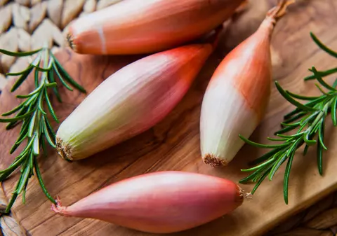 Ce este șalota și la ce o poți folosi