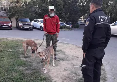 Explozie de amenzi date de Poliţia Locală Craiova anul acesta 