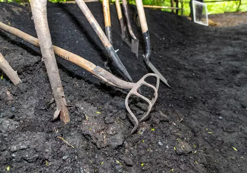 Polonezii au început să extragă cărbune din păduri, parcuri sau propria grădină, pe fondul crizei energetice