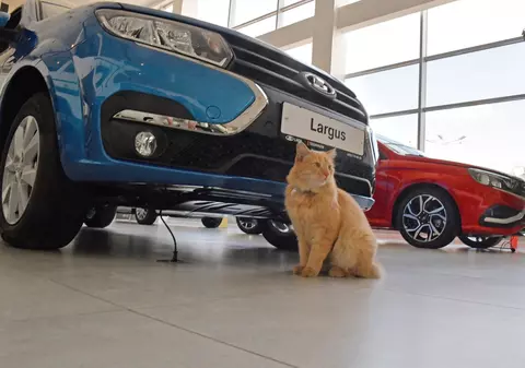 Putin cere guvernului rus să stopeze creșterea prețurilor mașinilor, după ce vânzările s-au prăbușit