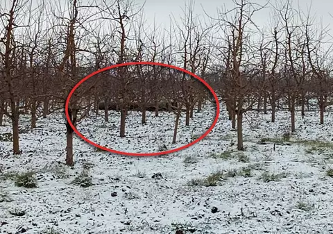 Rachetă găsită într-o livadă din nordul Republicii Moldova. Deocamdată nu sunt informații despre proveniența acesteia