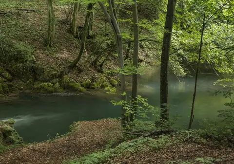 Un tânăr a fost găsit spânzurat într-o pădure de pe Valea Măgheruşului, după ce câinele cu care plecase s-a întors singur acasă