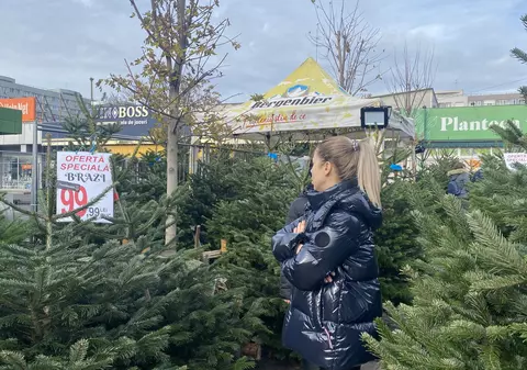 Cât costă brazii de Crăciun? Unde găsești sub 60 de lei și ce conține oferta premium la 4.900 de lei
