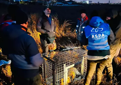 Cum răspunde ASPA când este sesizată: „Nu o să vină nimeni azi. Nu se lucrează” / „Păi de unde atâtea echipaje?”