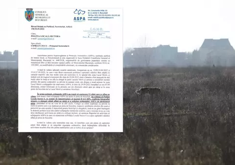 ASPA acuză că a fost oprită, în septembrie, de Poliția Locală Sector 6 să adune câini de lângă Lacul Morii. Trei sesizări privind zona cu „potențial de risc ridicat”