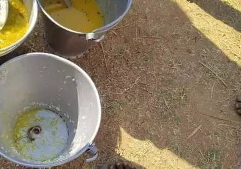 30 de copii de la o școală elementară din India au ajuns la spital, după ce au mâncat linte otrăvită de un șarpe