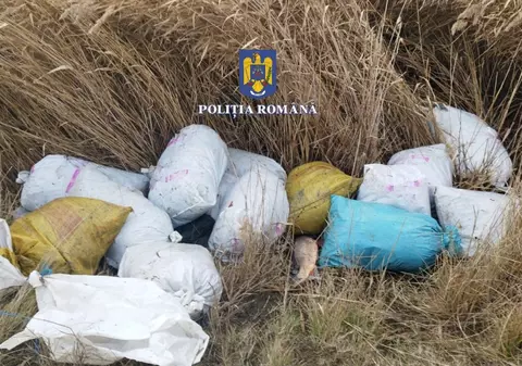 Razie în Delta Dunării. Aproape 300 de kilograme de peşte, confiscate de poliţişti