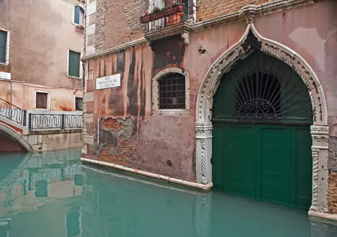 Un lup a fost salvat în Verona după ce rămăsese blocat într-un canal