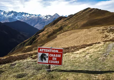 Franța va interzice vânătoarea sub influența alcoolului sau a drogurilor