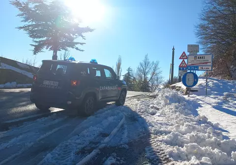 Un român care a oprit pe marginea drumului în Italia, ca să-l ducă pe fiul lui la toaletă, a fost imediat arestat de carabinieri