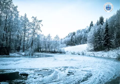 Risc de viituri pentru 5 judeţe din ţară, în următoarele 24 de ore. Avertizarea emisă de hidrologi