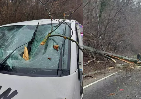 Șofer rănit după ce un copac a căzut peste un autoturism aflat în mers, pe un drum din Sighișoara