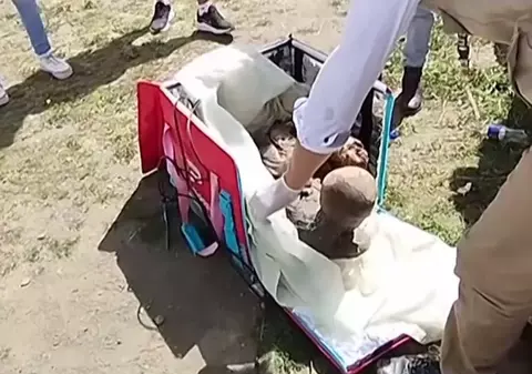 Un curier din Peru a fost prins de poliţişti cu o mumie de circa 800 de ani în geanta frigorifică