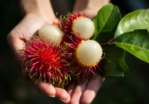 Ce este rambutan. Cum se consumă și ce beneficii are