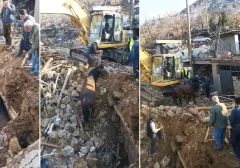 Cal găsit viu și salvat de sub dărâmături, în Turcia, la 21 de zile de la cutremur | VIDEO
