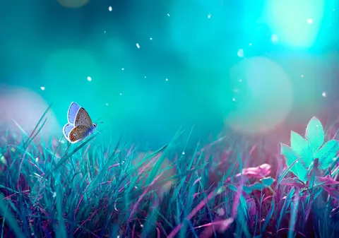 Semnificația culorilor din vise. Ce înseamnă când visezi în culori