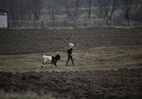 „Prea multă carte strică”, mentalitatea care ne depărtează de școală