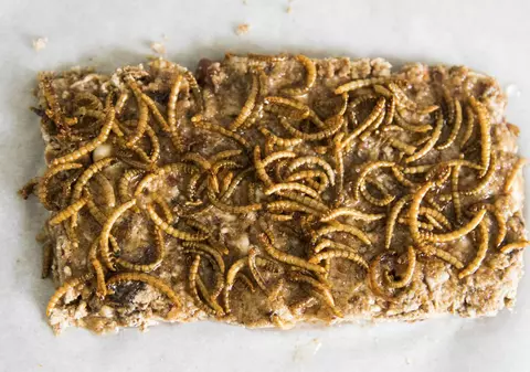 În Elveția, copiii sunt invitați să aprecieze gustul viermilor de făină, al greierilor și lăcustelor. Nu este o sarcină simplă