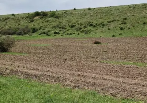 Garda de Mediu a amendat o primărie din Constanţa din cauză că a făcut lucrări agricole într-o arie protejată