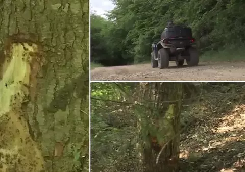 O femeie a murit, iar alta a fost grav rănită, după ce au intrat cu ATV-ul într-un copac, la Gura Humorului. Cele două erau în team-building