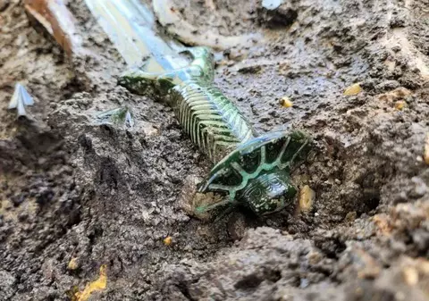 O sabie veche de 3.000 de ani, perfect conservată, descoperită în sudul Germaniei