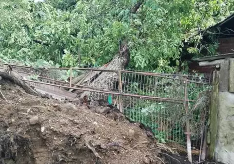 Vântul puternic din Neamţ a lăsat fără curent zeci de mii de persoane