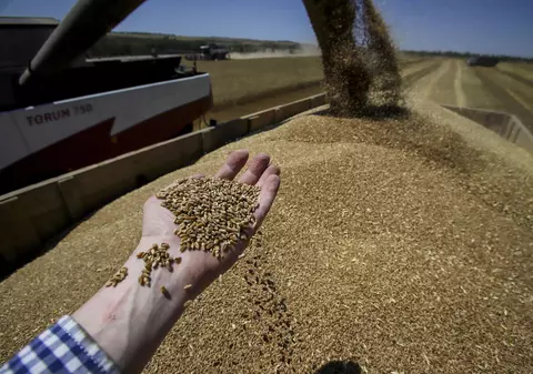 Planul Kievului de a transporta cereale după ce Rusia s-a retras din inițiativa de la Marea Neagră: „Prin apele teritoriale ale României şi Bulgariei”